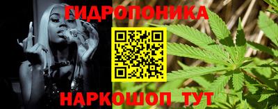 Альфа ПВП Будённовск